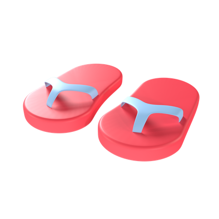 Slippers  3D Illustration