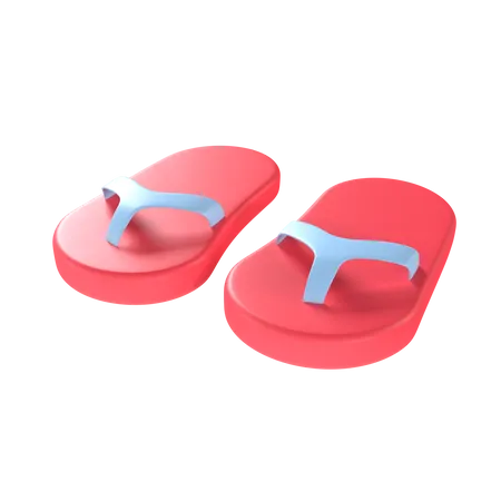 Slippers  3D Illustration