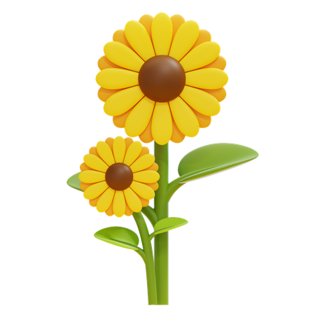 Sonnenblume  3D Icon