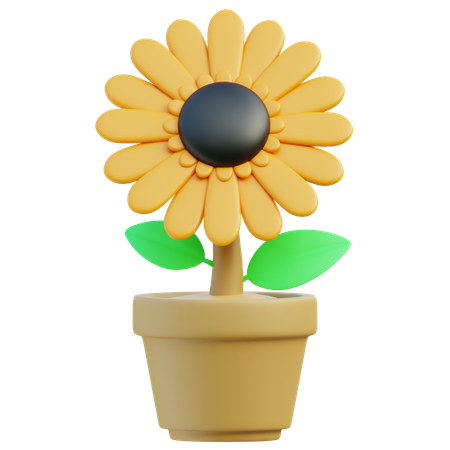 Sonnenblume  3D Icon