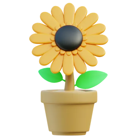 Sonnenblume  3D Icon