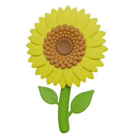 Sonnenblume  3D Icon