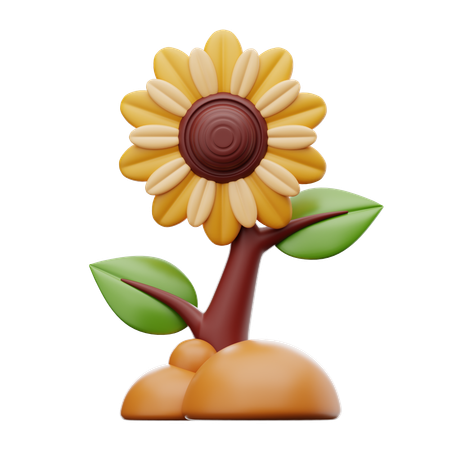 Sonnenblume  3D Icon