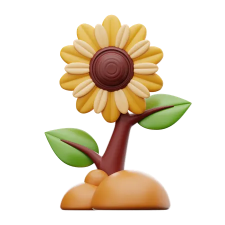 Sonnenblume  3D Icon