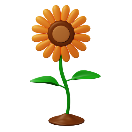 Sonnenblume  3D Icon