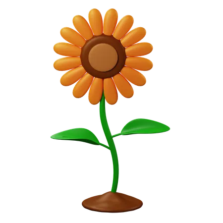 Sonnenblume  3D Icon