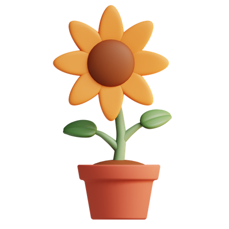 Sonnenblume  3D Icon