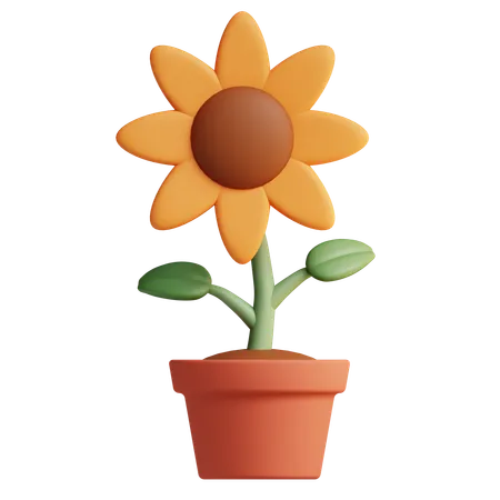 Sonnenblume  3D Icon