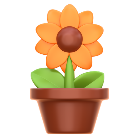 Sonnenblume  3D Icon