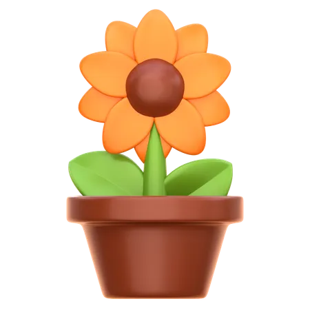 Sonnenblume  3D Icon