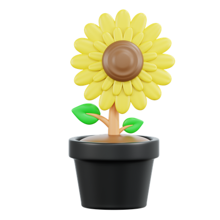 Sonnenblume  3D Icon