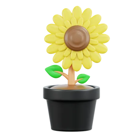 Sonnenblume  3D Icon