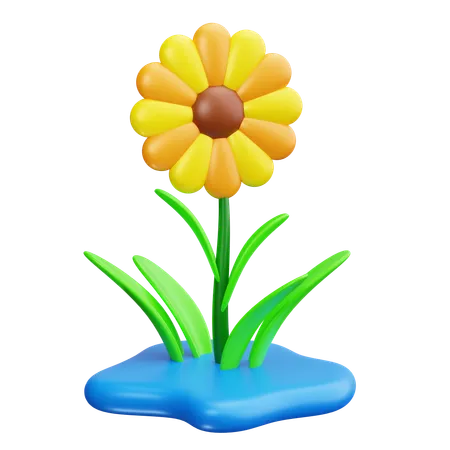 Sonnenblume  3D Icon