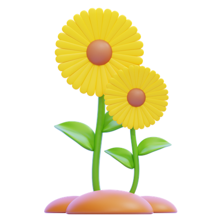 Sonnenblume  3D Icon