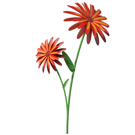 Sonnenblume  3D Illustration