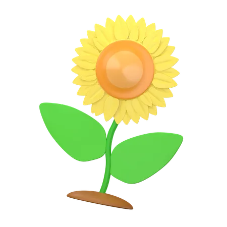 Sonnenblume  3D Icon