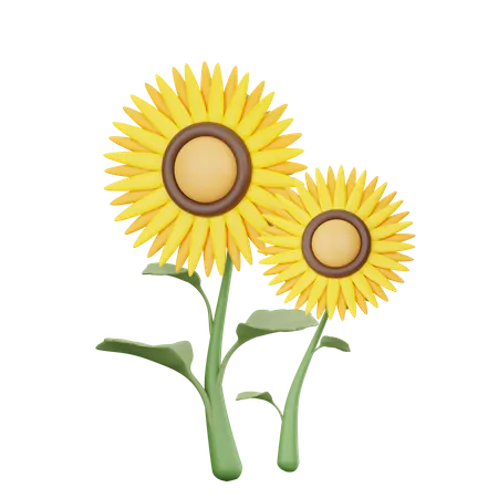 Sonnenblume  3D Icon