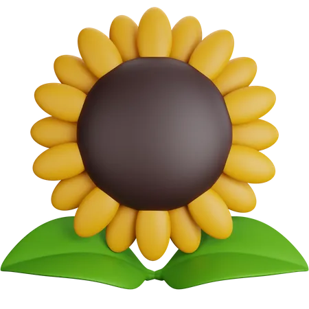 Sonnenblume  3D Icon