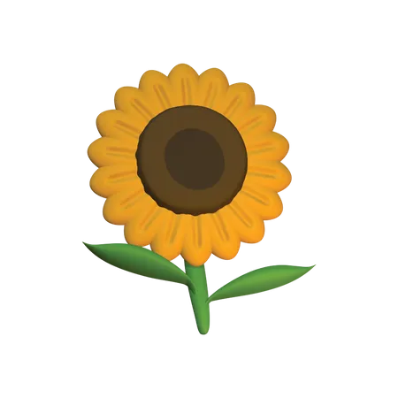 Sonnenblume  3D Icon