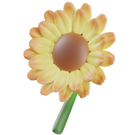 Sonnenblume  3D Icon