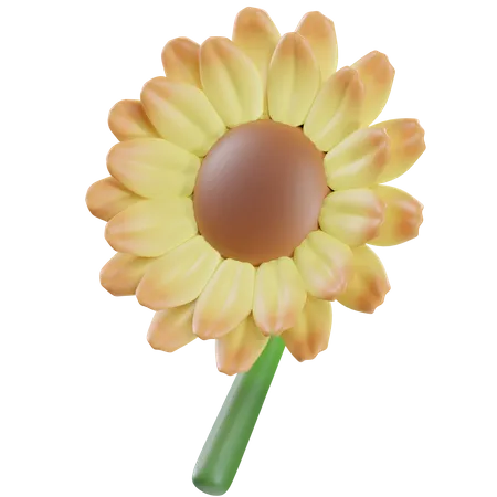 Sonnenblume  3D Icon