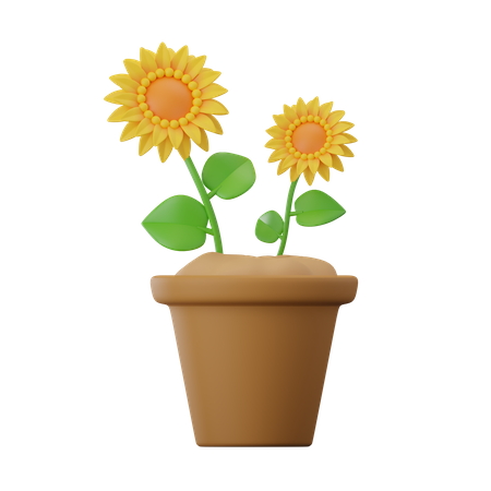 Sonnenblume  3D Icon