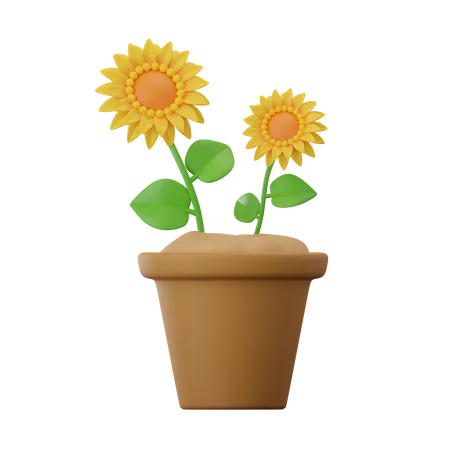 Sonnenblume  3D Icon