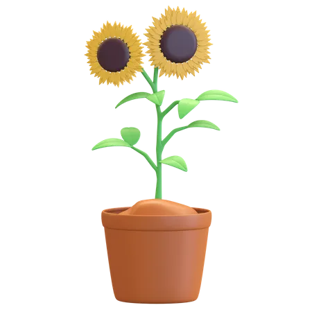 Sonnenblume im Topf-Symbol  3D Illustration