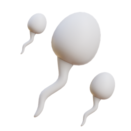 Sperm  3D Icon