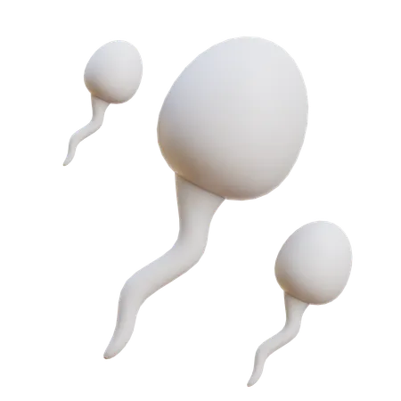 Sperm  3D Icon