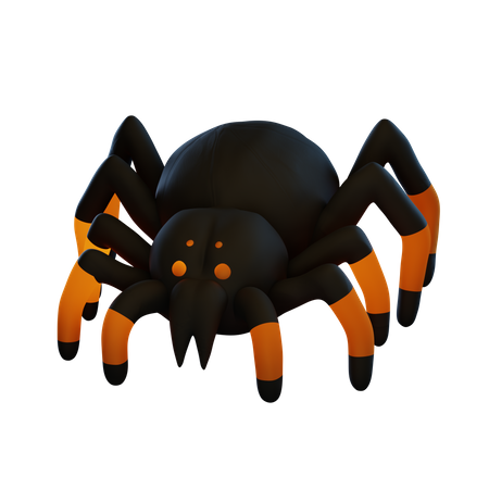 Spider  3D Illustration