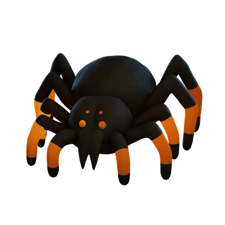 Spider  3D Illustration