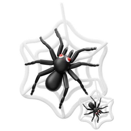 Spider  3D Icon