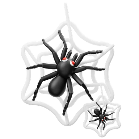 Spider  3D Icon