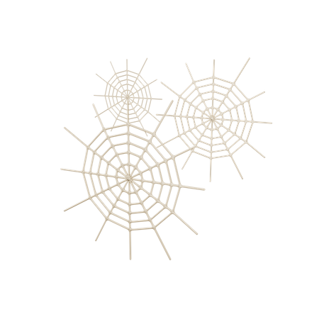 Spider Web  3D Illustration