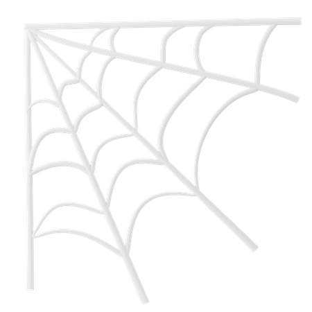 Spider Web  3D Icon