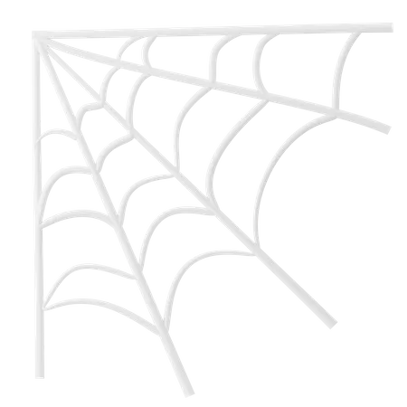 Spider Web  3D Icon