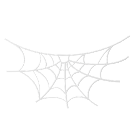 Spider Web  3D Icon