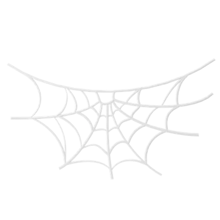 Spider Web  3D Icon