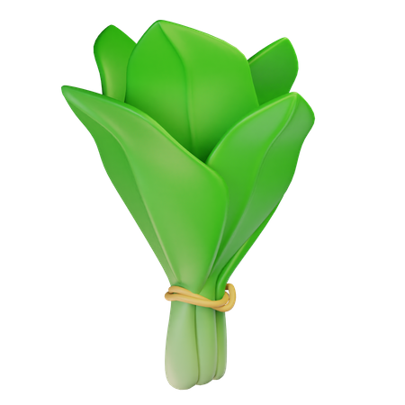 Spinach  3D Icon