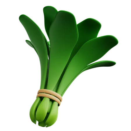 Spinach  3D Icon