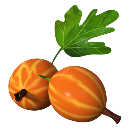 Stachelbeeren  3D Icon