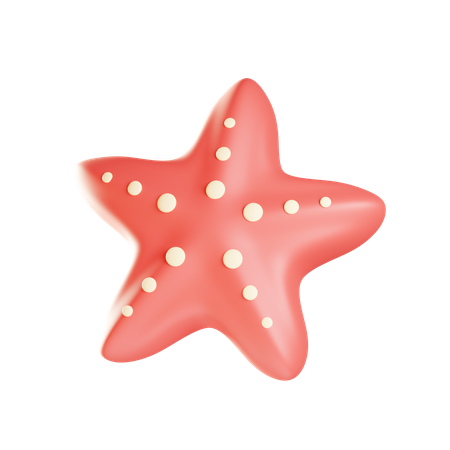 Starfish  3D Icon