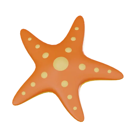 Starfish  3D Icon