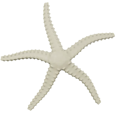 Starfish  3D Icon