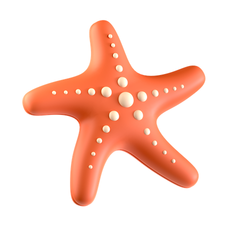 Starfish  3D Icon