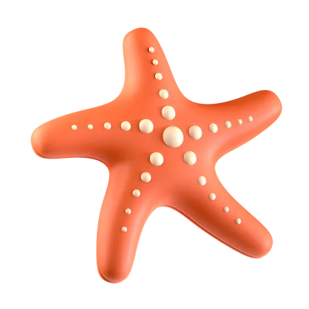 Starfish  3D Icon