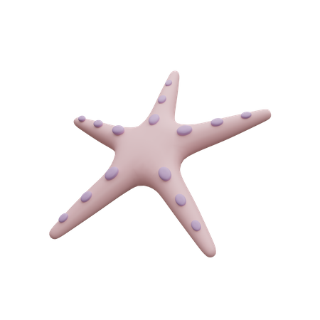 Starfish  3D Icon