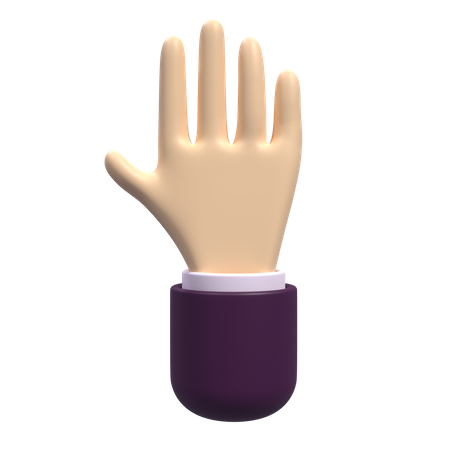 Stop Hand  3D Icon