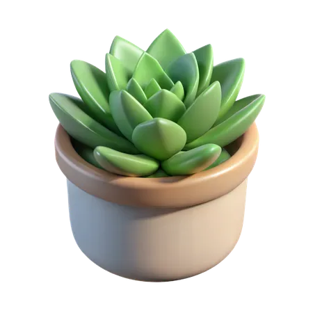 Plante succulente dans un pot en céramique  3D Icon